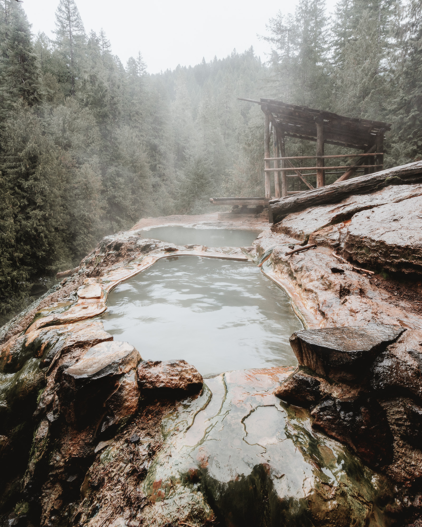 Mystical hot spring in the woods in Oregon